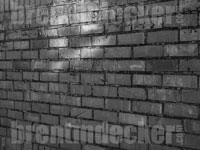Bricks