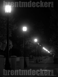 Campus Lights